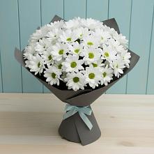 Букет цветов из:  Хризантемы в Мирном Ставропольский край