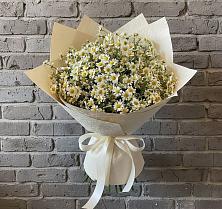 Букет цветов из:  Ромашки #REPLACE_PRED# Мирном Ставропольский край