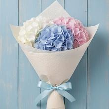 Букет цветов из:  Гортензия в Мирном Ставропольский край