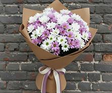 Букет цветов из:  Хризантемы в Мирном Ставропольский край