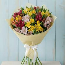 Букет цветов из:  Альстромерии в Мирном Ставропольский край