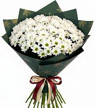Букет цветов из:  Хризантемы в Мирном Ставропольский край