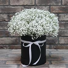 Цветочная композиция из Гипсофила в шляпной коробке #REPLACE_PRED# Мирном Ставропольский край