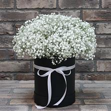 Цветочная композиция из Гипсофила в шляпной коробке в Мирном Ставропольский край